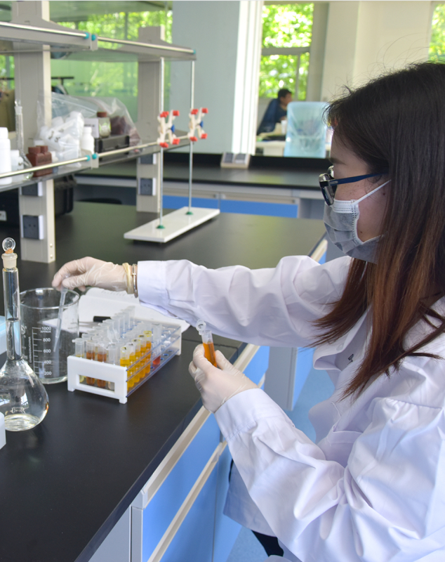 蔬菜質量檢測工作方案